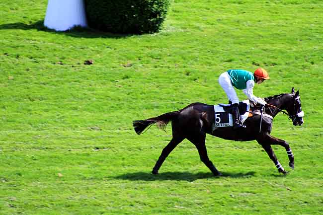 Arrivée quinté pmu PRIX DE SAUMUR à AUTEUIL