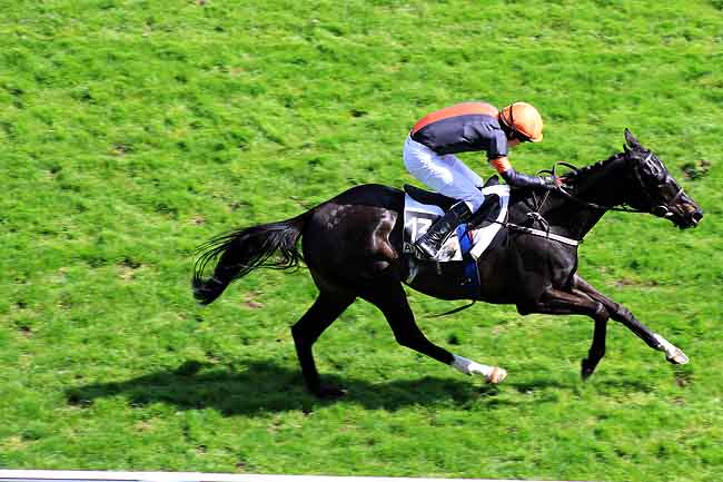 Arrivée quinté pmu PRIX AUBEPINE à AUTEUIL
