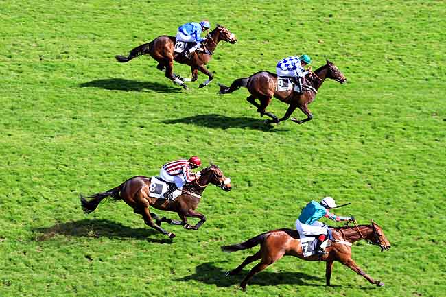 Arrivée quinté pmu PRIX ARTHUR VEIL-PICARD à AUTEUIL