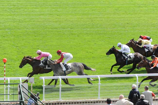 Arrivée quinté pmu PRIX DE NEWMARKET à MAISONS LAFFITTE