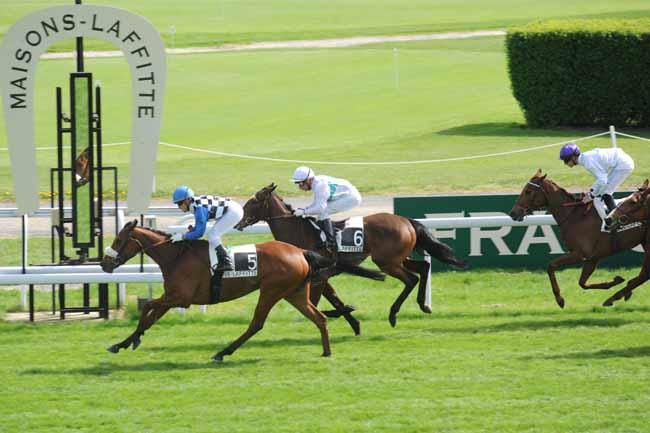 Arrivée quinté pmu PRIX DURBAN à MAISONS LAFFITTE