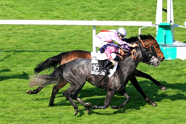 Arrivée quinté pmu PRIX DE BASTILLAC à SAINT CLOUD
