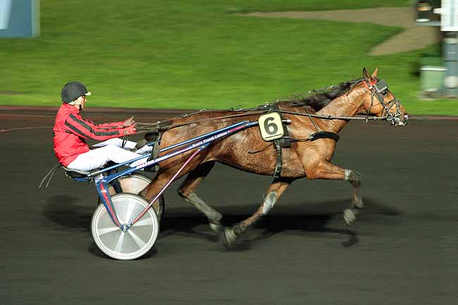 Arrivée quinté pmu PRIX GRATIA à PARIS-VINCENNES