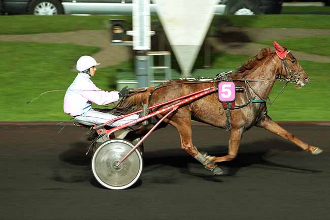 Arrivée quinté pmu PRIX AQUILA à PARIS-VINCENNES