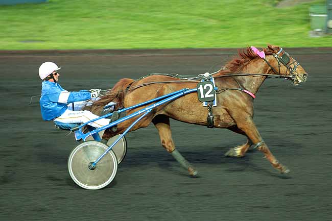 Arrivée quinté pmu PRIX ALBIREO à PARIS-VINCENNES