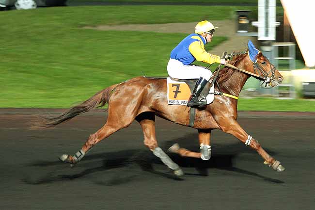 Arrivée quinté pmu PRIX BAMBERGA à PARIS-VINCENNES