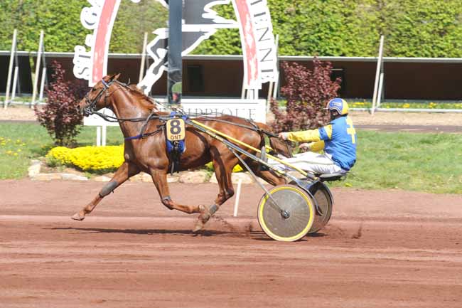 Arrivée quinté pmu PRIX GENY.COM - PARIS-TURF à SAINT GALMIER
