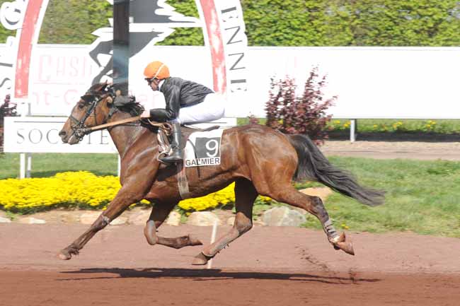 Arrivée quinté pmu PRIX DE LA COMMUNAUTE DES COMMUNES DU PAYS DE SAINT-GALMIER à SAINT GALMIER