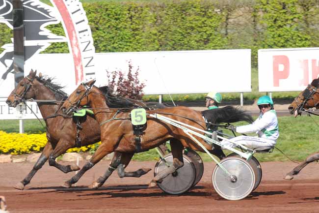 Arrivée quinté pmu PRIX DE LA VILLE DE SAINT-GALMIER à SAINT GALMIER