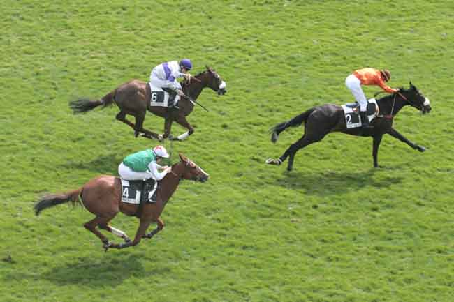 Arrivée quinté pmu PRIX CHAMPOREAU à AUTEUIL