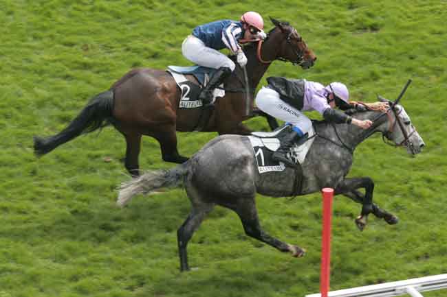 Arrivée quinté pmu PRIX D'OLIVET à AUTEUIL