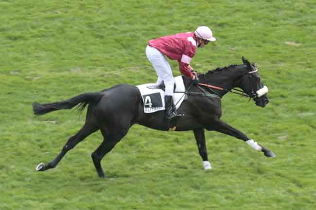 Arrivée quinté pmu PRIX SPIROU à AUTEUIL