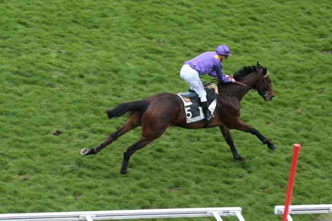 Arrivée quinté pmu PRIX DE PEPINVAST à AUTEUIL