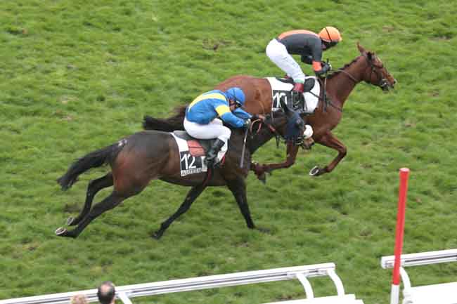 Arrivée quinté pmu PRIX LE HON à AUTEUIL