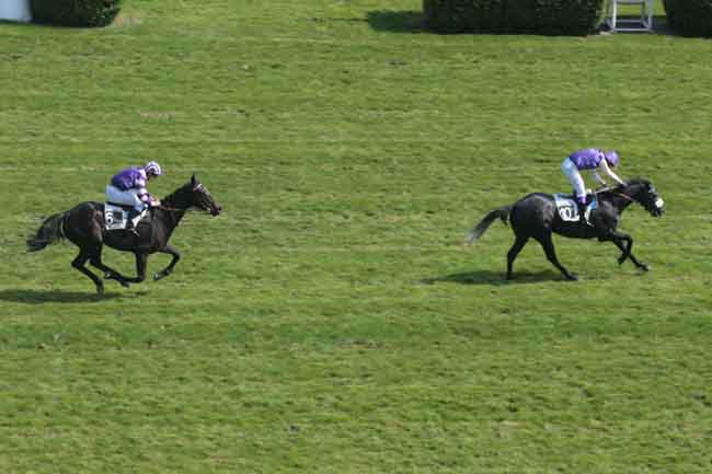 Arrivée quinté pmu PRIX DU PRESIDENT DE LA REPUBLIQUE - JOURNEE SOLIDARITE FRANCE-JAPON à AUTEUIL