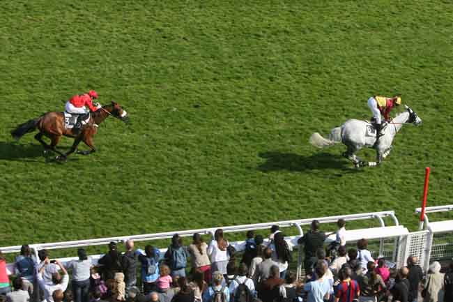Arrivée quinté pmu PRIX JEAN GRANEL à AUTEUIL