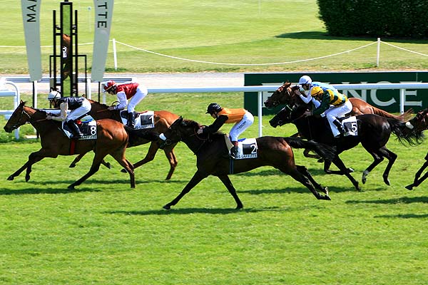 Arrivée quinté pmu PRIX BALBONELLA à MAISONS LAFFITTE