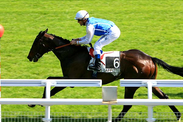 Arrivée quinté pmu PRIX DE SURESNES à MAISONS LAFFITTE