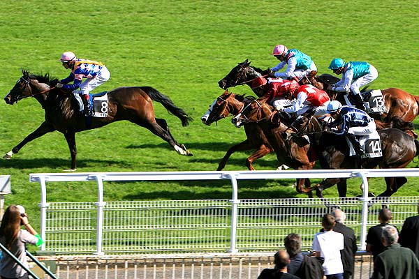 Arrivée quinté pmu PRIX ARREAU à MAISONS LAFFITTE