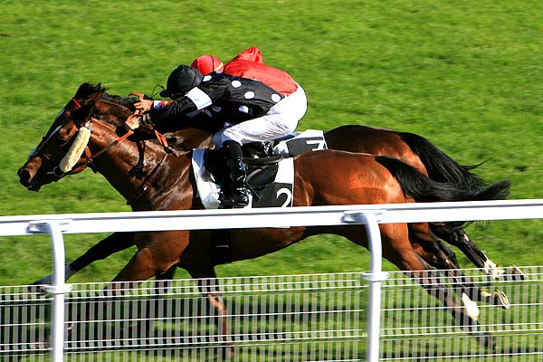 Arrivée quinté pmu PRIX DE LA VASTINE à MAISONS LAFFITTE