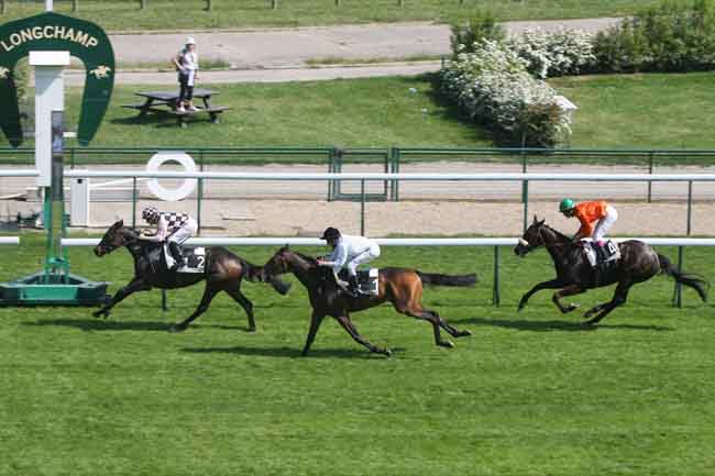 Arrivée quinté pmu PRIX DE LEVALLOIS à LONGCHAMP