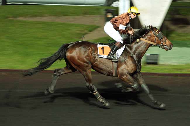 Arrivée quinté pmu PRIX FRANCE GALOP à CHOLET