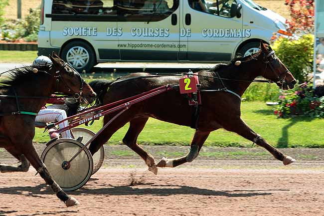 Arrivée quinté pmu GRAND PRIX DE CORDEMAIS à CORDEMAIS