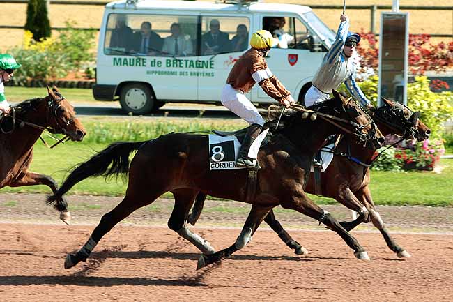 Arrivée quinté pmu PRIX DU CONSEIL GENERAL à CORDEMAIS