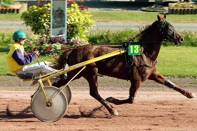 Arrivée quinté pmu PRIX DE VIGNEUX-DE-BRETAGNE à CORDEMAIS