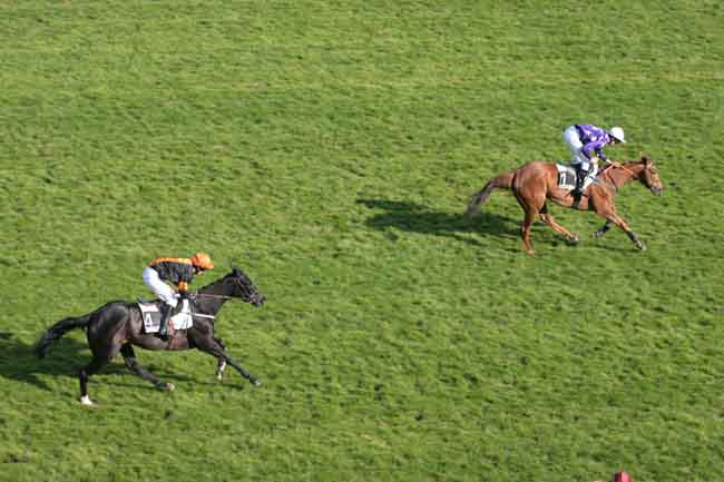 Arrivée quinté pmu PRIX LA BELLE FERRONNIERE à AUTEUIL