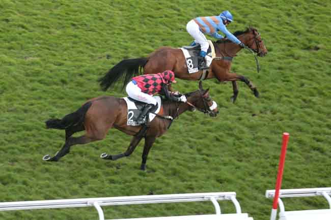 Arrivée quinté pmu PRIX DE PAU à AUTEUIL