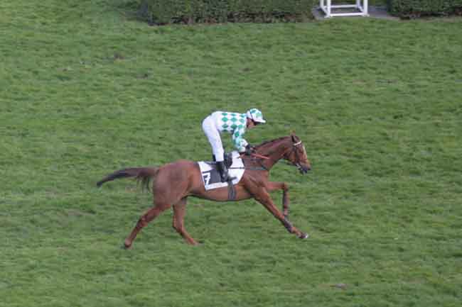 Arrivée quinté pmu PRIX DU VIVARAIS à AUTEUIL