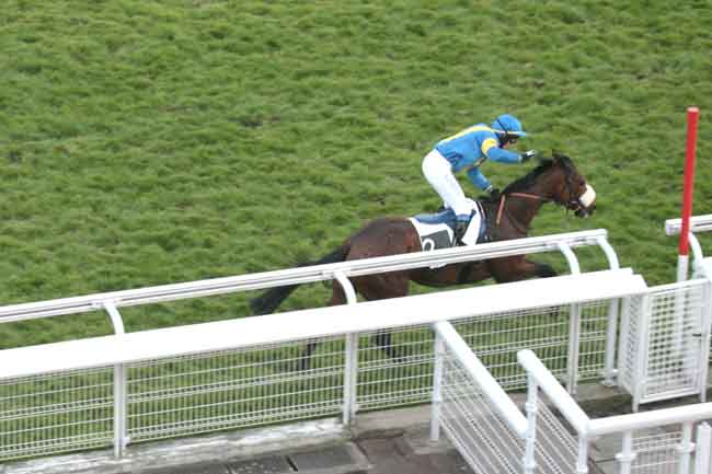 Arrivée quinté pmu PRIX ALCIDE à AUTEUIL