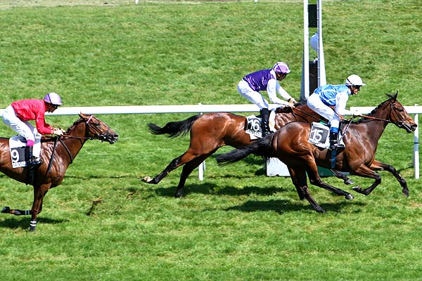 Arrivée quinté pmu PRIX DU BEARN à SAINT-CLOUD