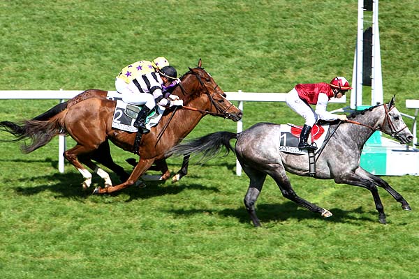 Arrivée quinté pmu PRIX TARENTELLE à SAINT-CLOUD