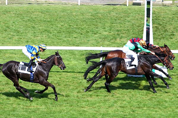 Arrivée quinté pmu PRIX DE PEYREHORADE à SAINT-CLOUD