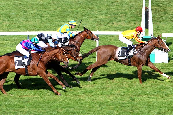 Arrivée quinté pmu ORTHEZ à SAINT-CLOUD