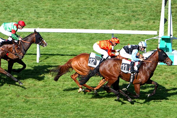 Arrivée quinté pmu PRIX DE PAU à SAINT-CLOUD