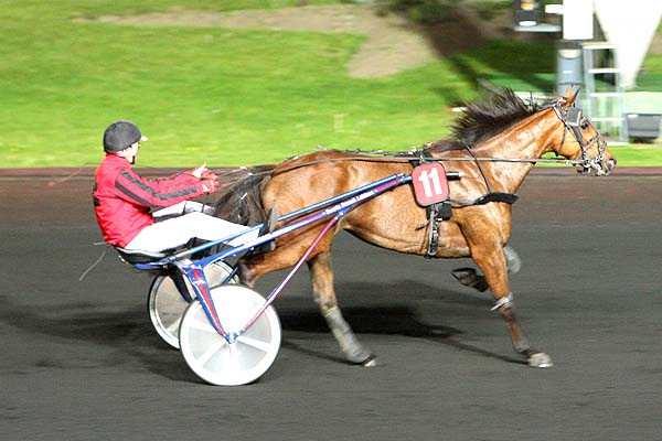 Arrivée quinté pmu PRIX JACQUES ORLIAGUET à PARIS-VINCENNES