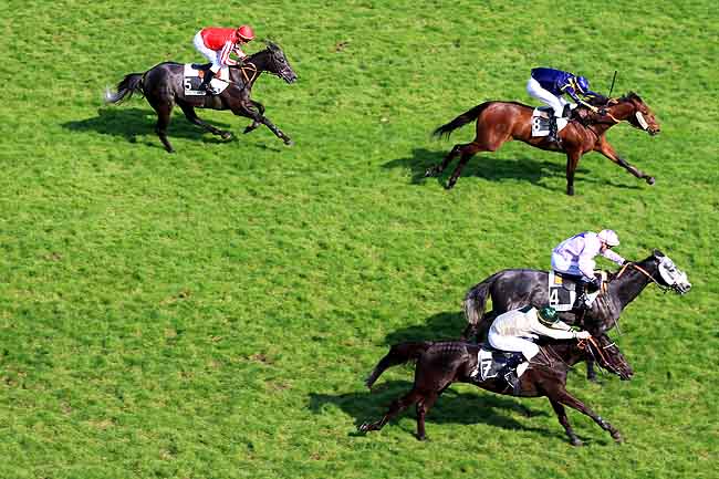 Arrivée quinté pmu PRIX DE CASTETS à AUTEUIL