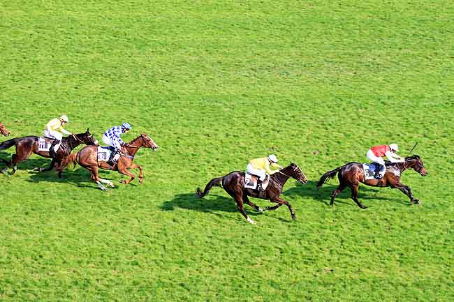 Arrivée quinté pmu PRIX ROGER DUCHENE (GRAND PRIX DES JEUNES JOCKEYS) à AUTEUIL