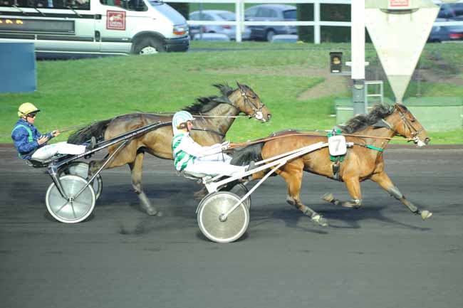 Arrivée quinté pmu PRIX MASINA à PARIS-VINCENNES