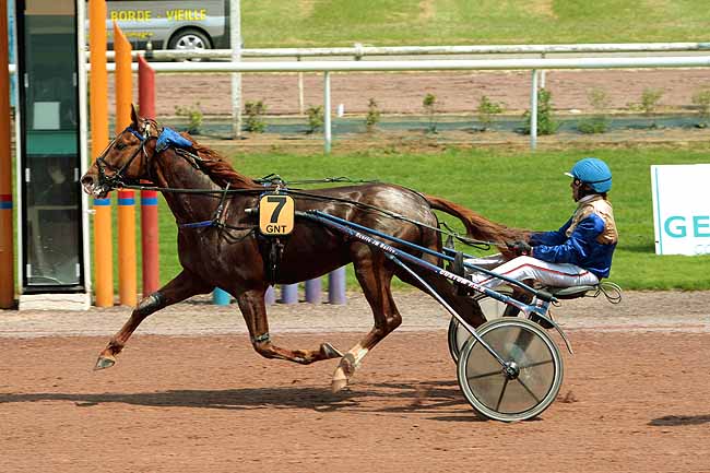 Arrivée quinté pmu PRIX GENY.COM - PARIS-TURF à BEAUMONT-DE-LOMAGNE