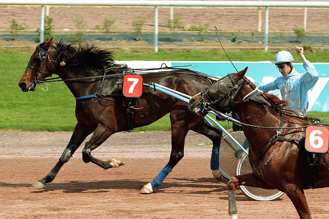 Arrivée quinté pmu PRIX NIMROD BOREALIS à BEAUMONT-DE-LOMAGNE