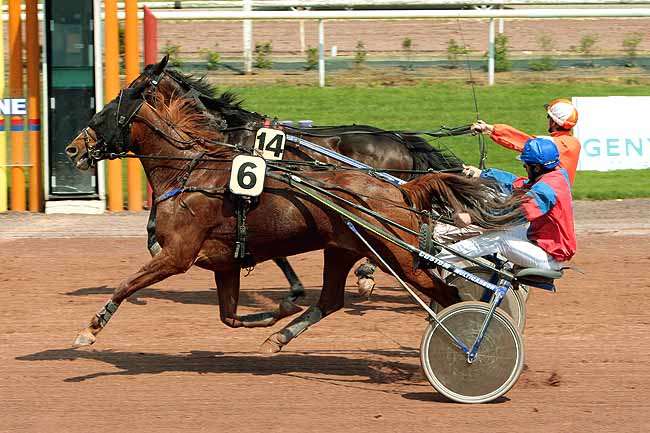 Arrivée quinté pmu PRIX OPAL VIKING à BEAUMONT-DE-LOMAGNE