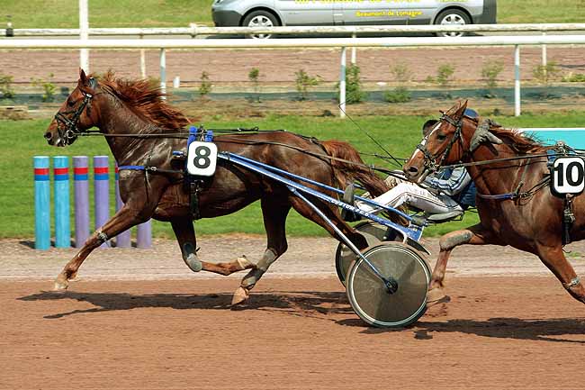 Arrivée quinté pmu PRIX JARDY à BEAUMONT-DE-LOMAGNE