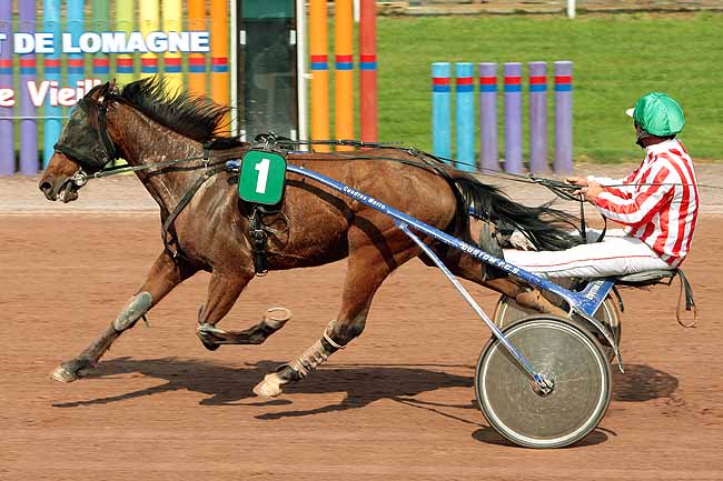 Arrivée quinté pmu PRIX VASTERBO DAYLIGHT à BEAUMONT-DE-LOMAGNE