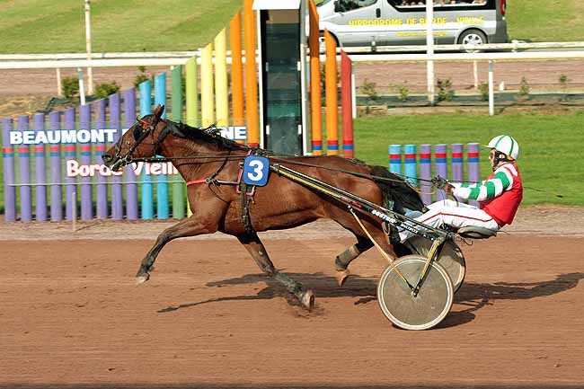 Arrivée quinté pmu PRIX NIKY à BEAUMONT-DE-LOMAGNE
