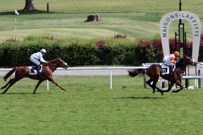 Arrivée quinté pmu PRIX DE LA CLEMENTERIE à MAISONS-LAFFITTE