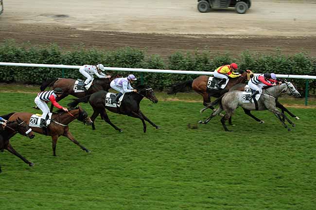 Arrivée quinté pmu PRIX DE LA BORNE BLANCHE à CHANTILLY